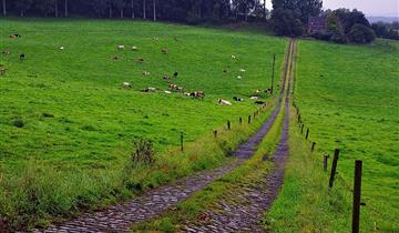 Streek-GR Vlaamse Ardennen